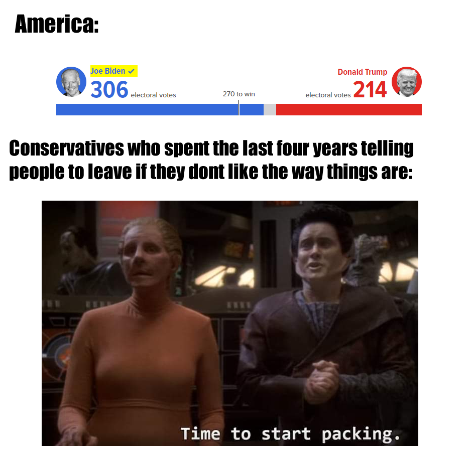 This meme is a humorous commentary on the 2020 US presidential election. The image features a split-screen comparison of the election results, with Joe Biden's 306 electoral votes (out of 538) on one side and Donald Trump's 214 electoral votes on the other. The text at the top reads: "In 2020, Joe Biden won 306 electoral votes to Donald Trump's 214." The meme's caption, however, is a sarcastic remark: "Conservatives who said 'we need to make America great again' by losing by 82 electoral votes."